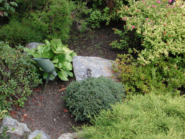 DSCN1078.JPG