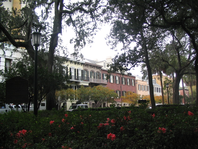 Savannah streetscape