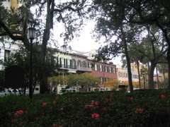 Savannah streetscape