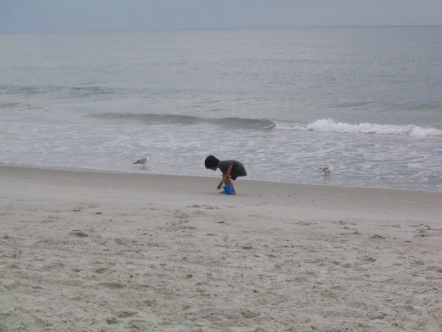 Jonas seeks seashells by the seashore (Wrightsville Beach)