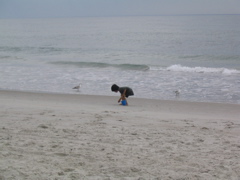 Jonas seeks seashells by the seashore (Wrightsville Beach)