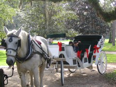 yes, we know what happens if we're not back before midnight (Jekyll Island coach tour)