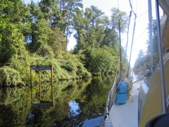 not so dismally swamped in North Carolina (great dismal swamp canal) 092404