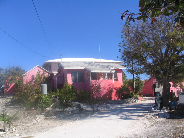 pink grocery store (Staniel)