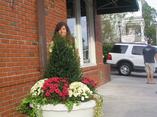 Mums the word (New Bern mum festival)